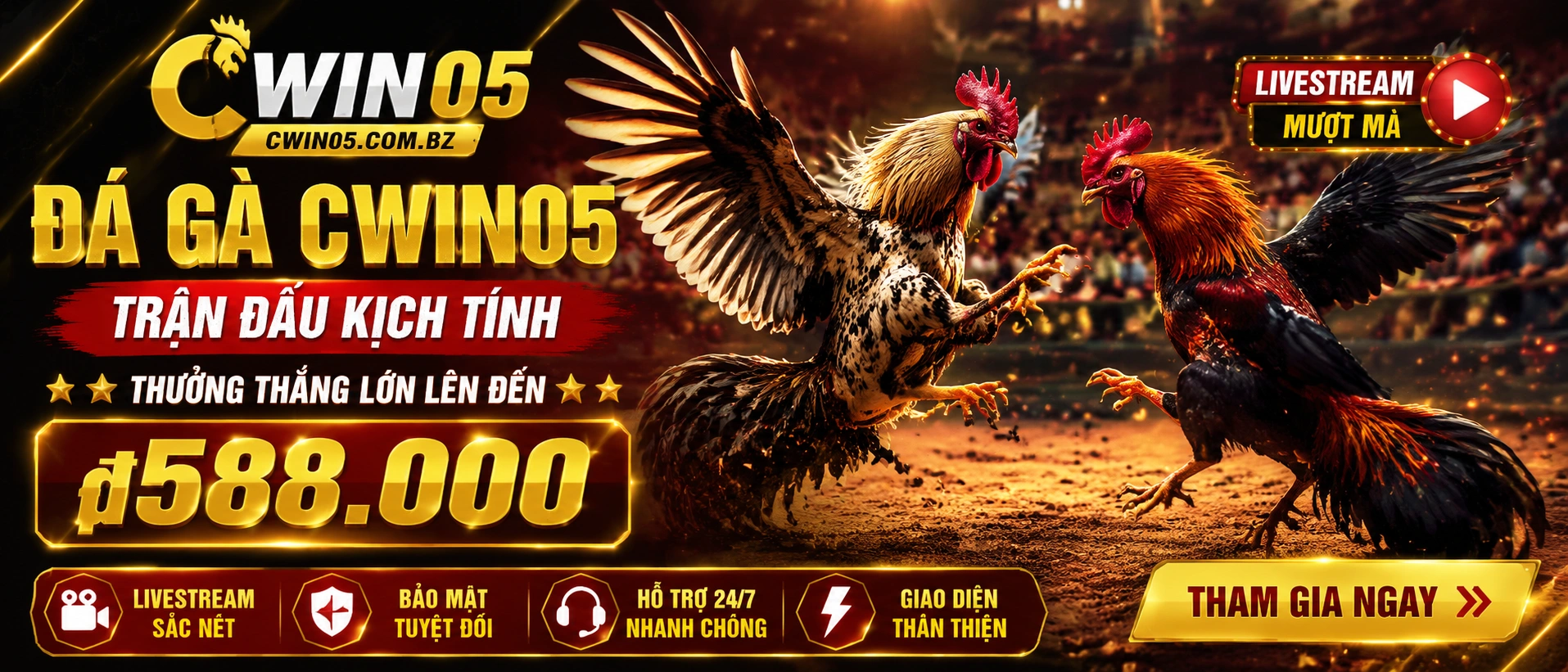 Đá Gà Trực Tiếp trên mobile